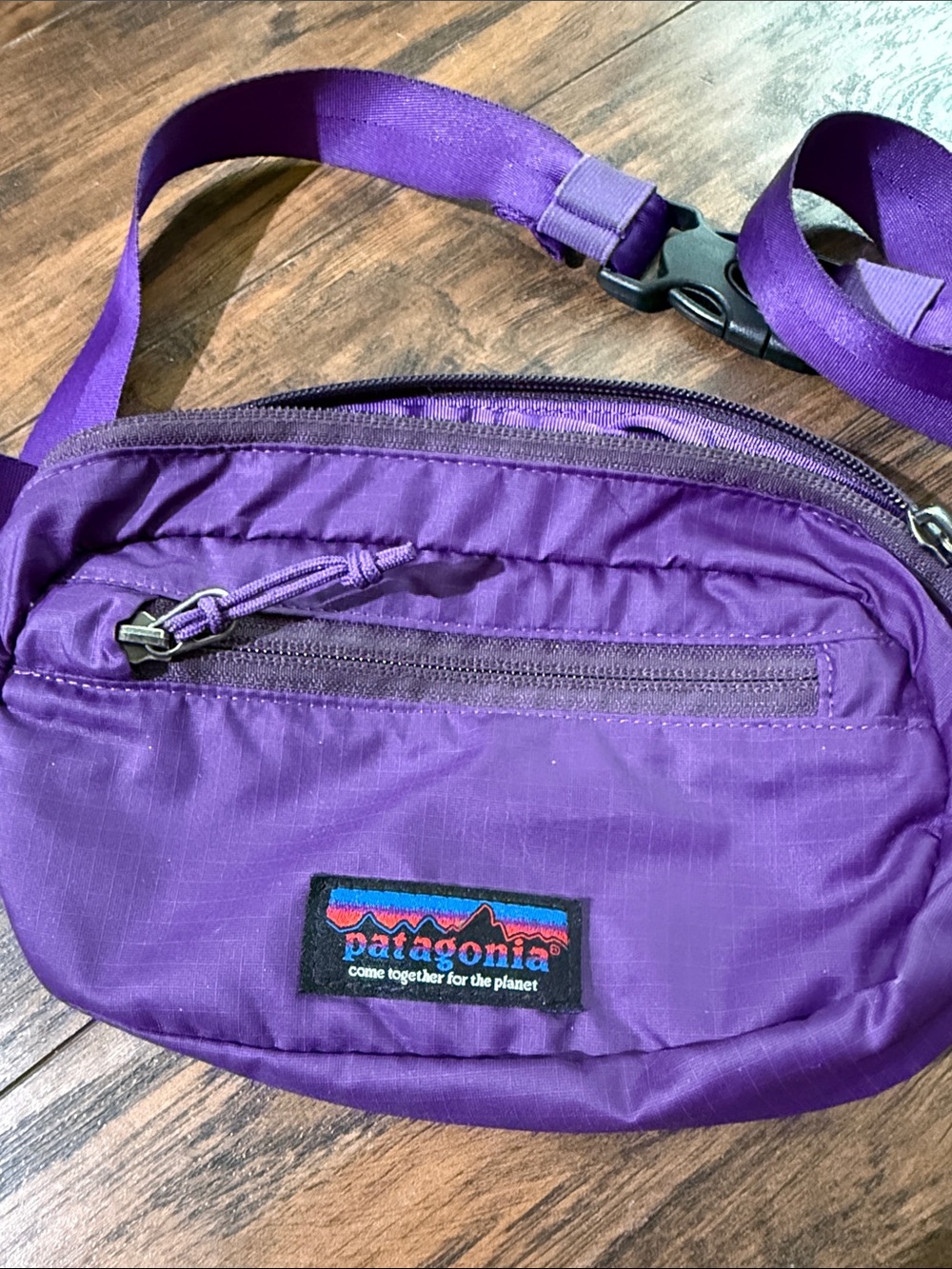 Patagonia Purple Crossbody/Fanny Pack